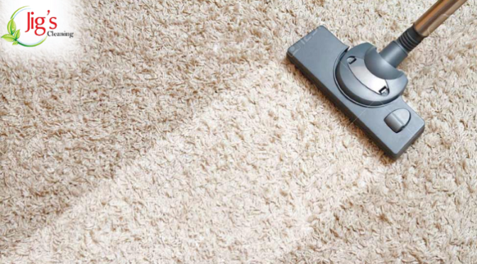 What to Do to Keep Your Carpets Free of Your Beloved Cat’s Dander